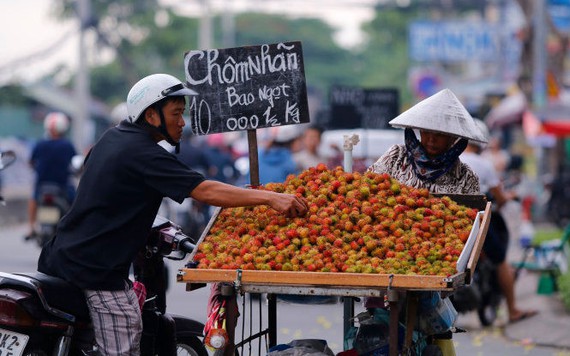 Giá chôm chôm giảm hơn một nửa so với đầu mùa