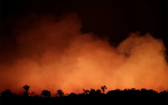 Cháy suốt 3 tuần, rừng Amazon chìm trong biển lửa