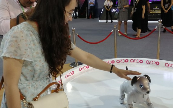 Chó Aibo xuất hiện tại triển lãm Sony Show 2019 gây ấn tượng người xem