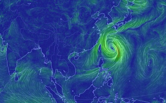 Sau Nhật Bản, Hàn Quốc phải hủy hàng trăm chuyến bay do mưa lớn, gió lốc từ cơn bão Tapah
