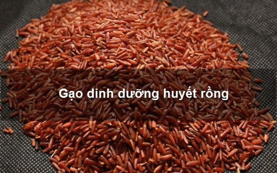 Giá lúa gạo ngày 25/9: Huyết Rồng giảm nhẹ