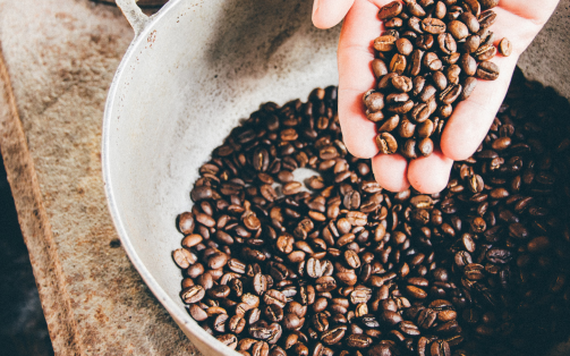Báo cáo ngành hàng cà phê tháng 9/2019: Biến động không đồng nhất