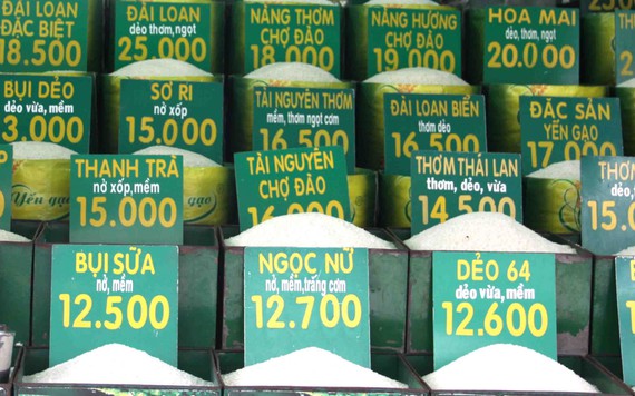 Giá lúa gạo ngày 10/10: Nhiều loại thay đổi