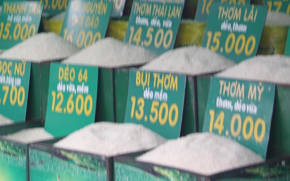 Gạo Thơm lài tăng, Thơm mỹ giảm 1.000 đồng/kg