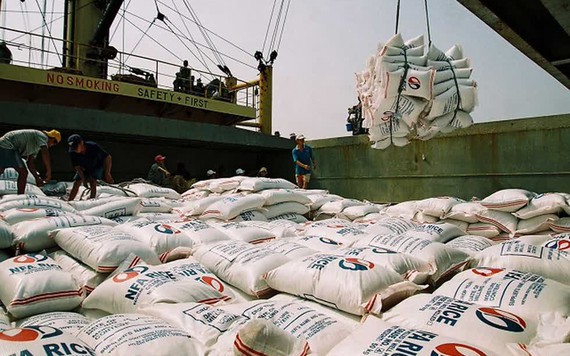 Philippines và Bờ biển Ngà là 2 thị trường tiêu thụ gạo hàng đầu của Việt Nam