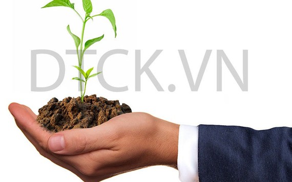 Nhận định thị trường phiên 13/12: Có thể túc tắc mở vị thế mua mới