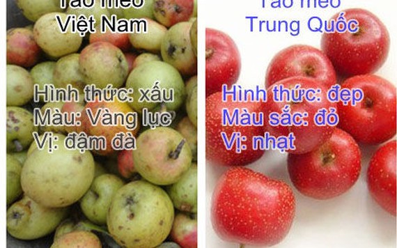 Nhận biết táo mèo Việt Nam ngon đúng chuẩn