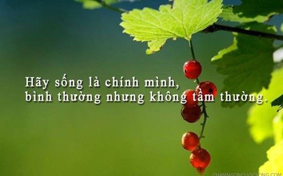 Tử vi hàng ngày 30.12.2019 của 12 con giáp: Sửu tràn đầy sức sống, Mẹo có nhiều người ngưỡng mộ