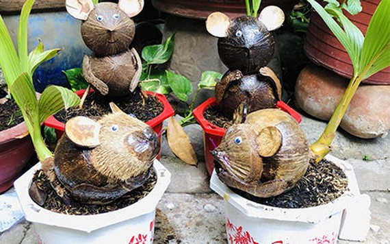 Dừa bonsai hình chuột độc đáo hút khách Sài Gòn