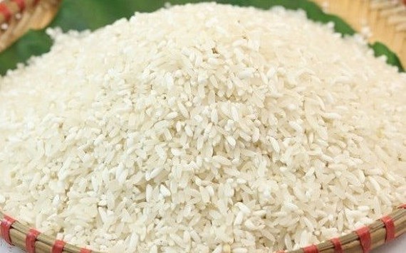 Giá gạo xuất khẩu vẫn thấp dù nhu cầu thu mua đang khởi sắc