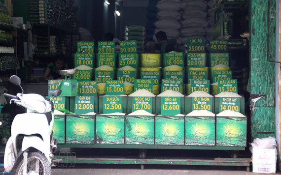 Xuất khẩu gạo tăng giá, nguồn cung dồi dào