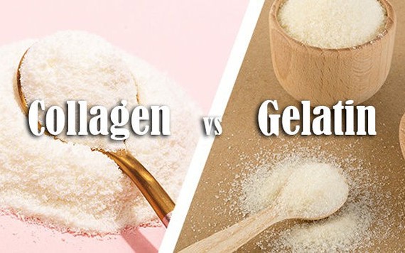 Collagen và gelatin có điểm gì giống và khác nhau?