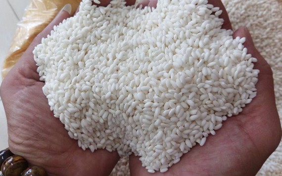 Giá gạo xuất khẩu tiếp tục xu hướng giảm
