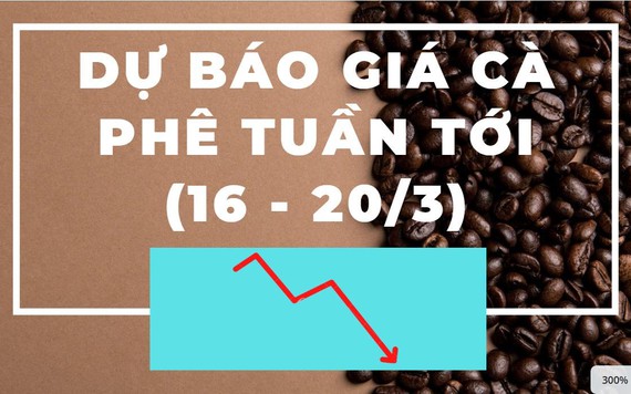 Dự báo giá cà phê tuần tới (16 - 20/3): Thế giới tiếp tục giảm, trong nước tăng