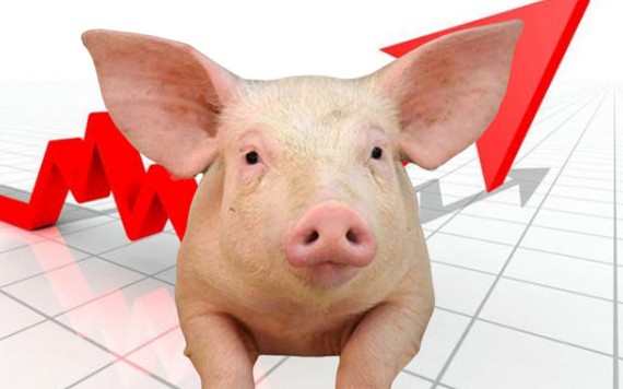 Hỗ trợ doanh nghiệp chăn nuôi, nông dân để đẩy mạnh phục hồi đàn lợn trên 32 triệu con