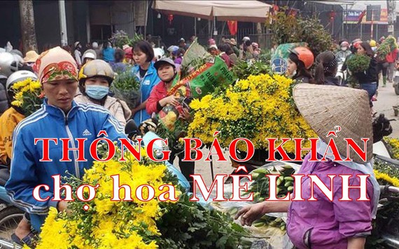 Khẩn: Người mua bán ở chợ hoa Mê Linh từ ngày 20/3 cần liên hệ y tế gấp