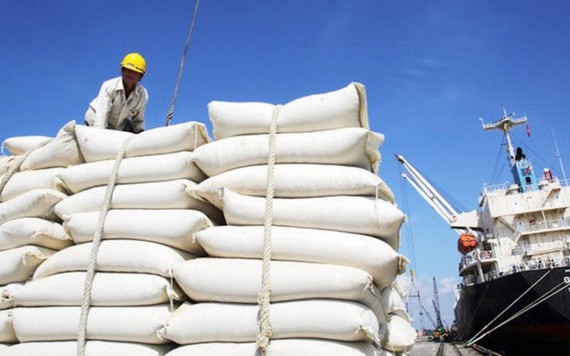 Thủ tướng yêu cầu thanh tra xuất khẩu gạo