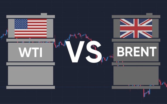 Dầu Brent là gì, dầu WTI là gì? Khác nhau thế nào?