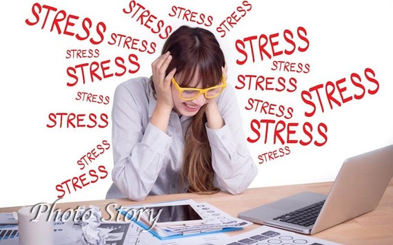 9 loại thảo dược giúp giảm stress hiệu quả, an toàn