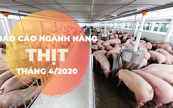 Báo cáo ngành hàng thịt cuối tháng 4/2020: Quy mô đàn heo giảm