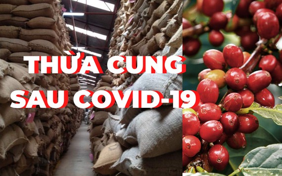 Nguồn cung cà phê toàn cầu dư thừa sau dịch COVID-19