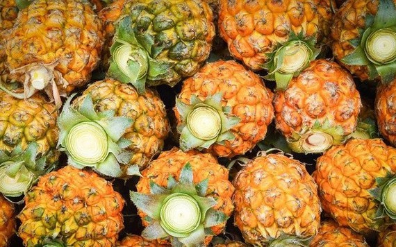 10 loại quả Thái Lan phổ biến thị trường Việt
