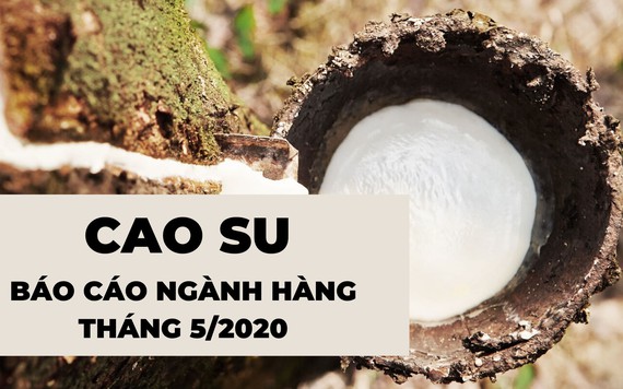 Báo cáo ngành hàng cao su cuối tháng 5/2020: Giảm mạnh giá trị so với cùng cùng kỳ