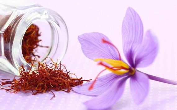 5 cách phân biệt Nhụy hoa nghệ tây (Saffron) thật giả