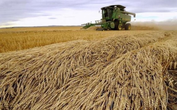 Hậu COVID-19: Đất nông nghiệp tại Canada chưa đến 100 triệu đồng/ha