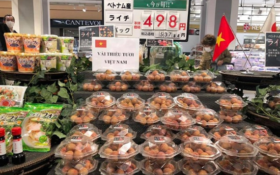 Vải thiều Lục Ngạn bán tại siêu thị Nhật Bản có giá từ 180.000-270.000 đồng/kg