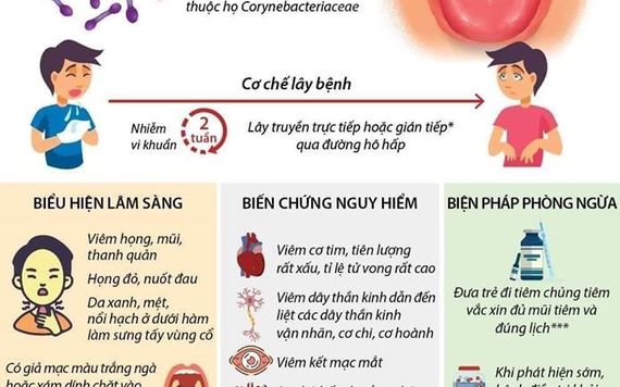 Infographic: Bệnh bạch hầu và cách phòng ngừa