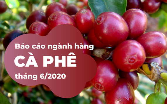 Báo cáo ngành hàng cà phê cuối tháng 6/2020: Xuất khẩu giảm sang Nga