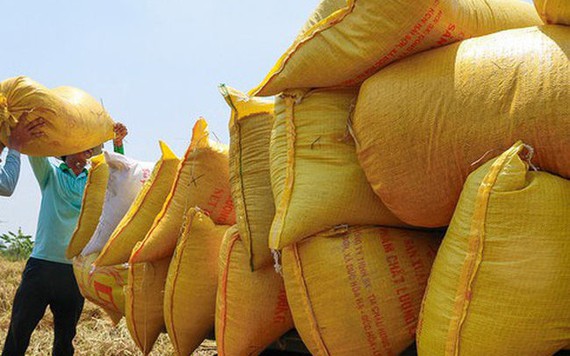 Xuất khẩu gạo 6 tháng đầu năm của Việt Nam tăng gần 18%