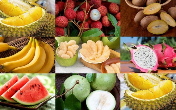 8 loại trái cây thuần Việt không lo nhập từ Trung Quốc