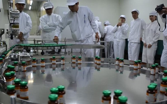 Doanh nghiệt Việt Nam và Mỹ phối hợp sản xuất vắc xin chống dịch tả heo châu Phi