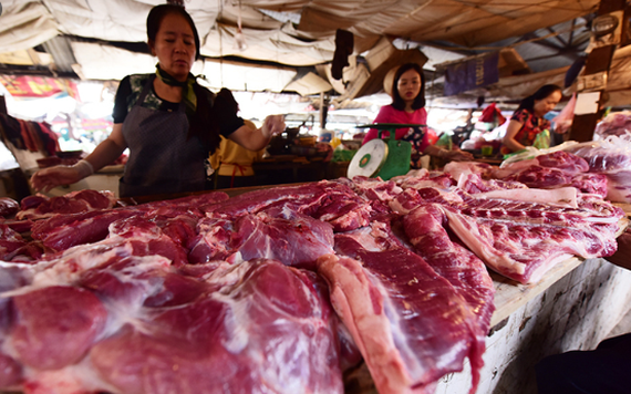 Hơn 54% mẫu thịt heo, gà tại Hà Nội và Hà Nam nhiễm vi sinh vật