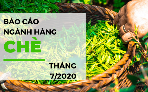 Báo cáo ngành hàng chè tháng 7/2020: Giá trị xuất khẩu giảm mạnh