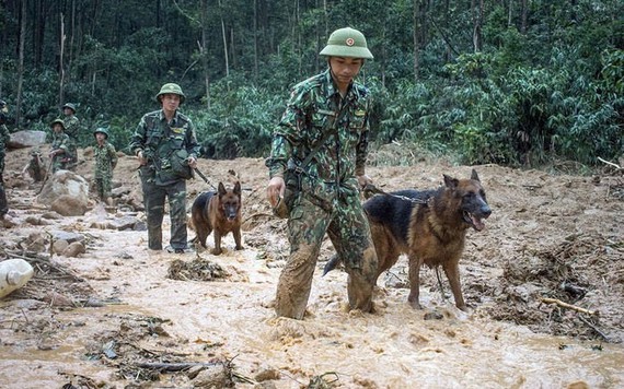 Tập trung tìm kiếm 57 người mất tích ở Thừa Thiên-Huế, Quảng Nam và  trên biển