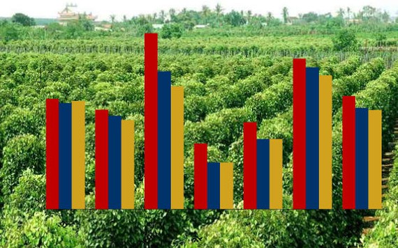 Thị trường nào nhập khẩu hồ tiêu Việt Nam nhiều nhất trong 9 tháng đầu năm 2020?