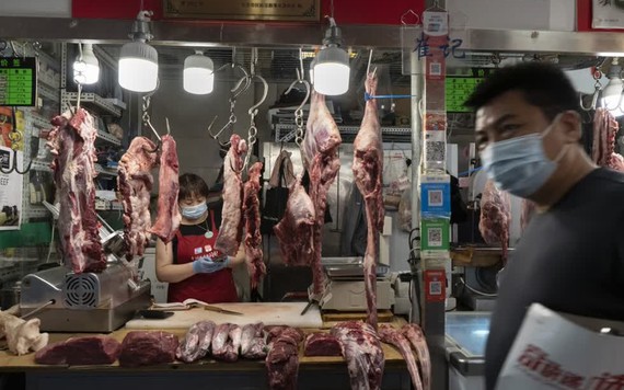Khan hiếm thịt lợn, Trung Quốc nhập khẩu kỷ lục