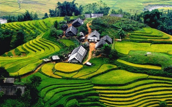 Du lịch Việt Nam mất 23 tỷ USD trong năm 2020 vì COVID-19
