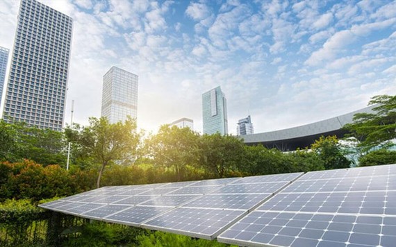 HSBC tài trợ 800 tỷ đồng cho REE đầu tư điện mặt trời
