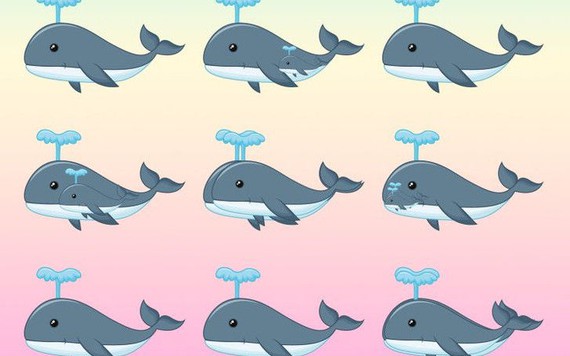 Có bao nhiêu con cá voi trong hình dưới đây?