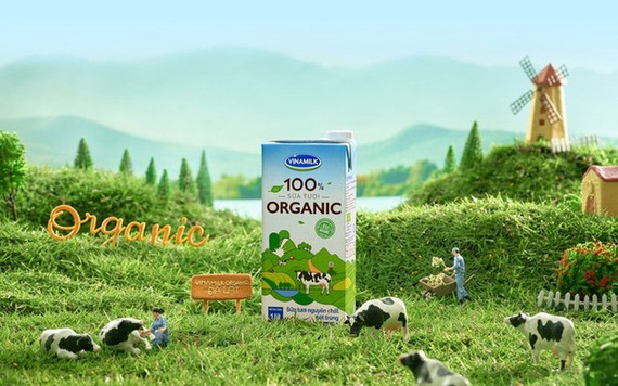 Vinamilk tạm ứng cổ tức đợt 2/2020 bằng tiền, tỷ lệ 10%