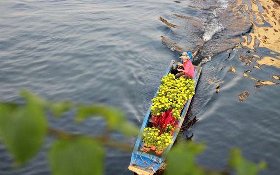 Rực rỡ chợ hoa 'Trên bến, dưới thuyền' ở Sài Gòn