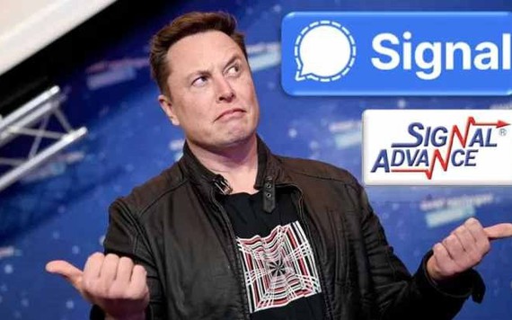Những thương hiệu được 'thơm lây' nhờ tỷ phú Elon Musk