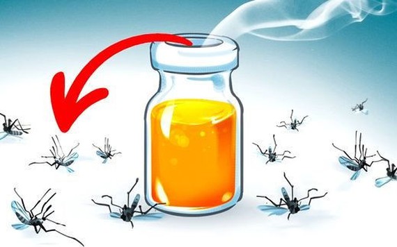 10 loại tinh dầu có tác dụng diệt muỗi, bạn có thể tự làm tại nhà