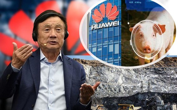 Sau khi lấn sân nuôi heo, tập đoàn Huawei tiếp tục nuôi cá bù lỗ cho mảng công nghệ