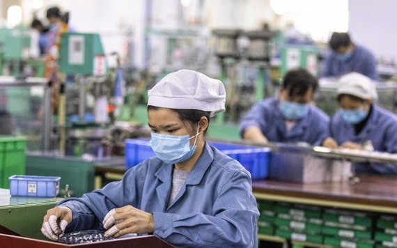 Moody's: GDP của Việt Nam sẽ tăng từ 2,9% lên 7,2% trong năm 2021