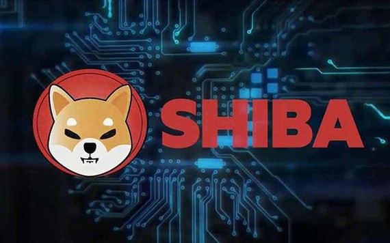 Giá SHIB hôm nay: Thông tin chi tiết về Shiba Inu